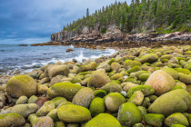 Boulder Beach and Otter Cliff