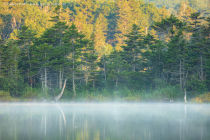 Branch Pond