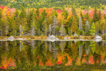 Fall colors in Maine