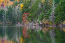 Griffith Lake