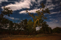 The Southern Sky