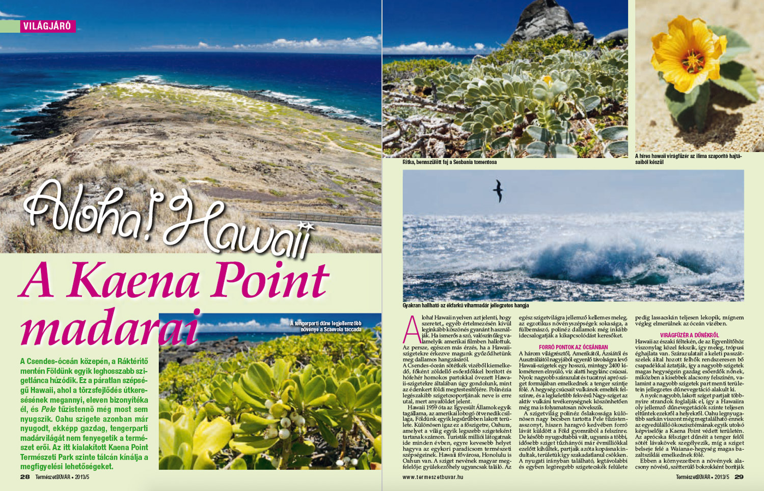 Article about Kaena Point in TermészetBÚVÁR