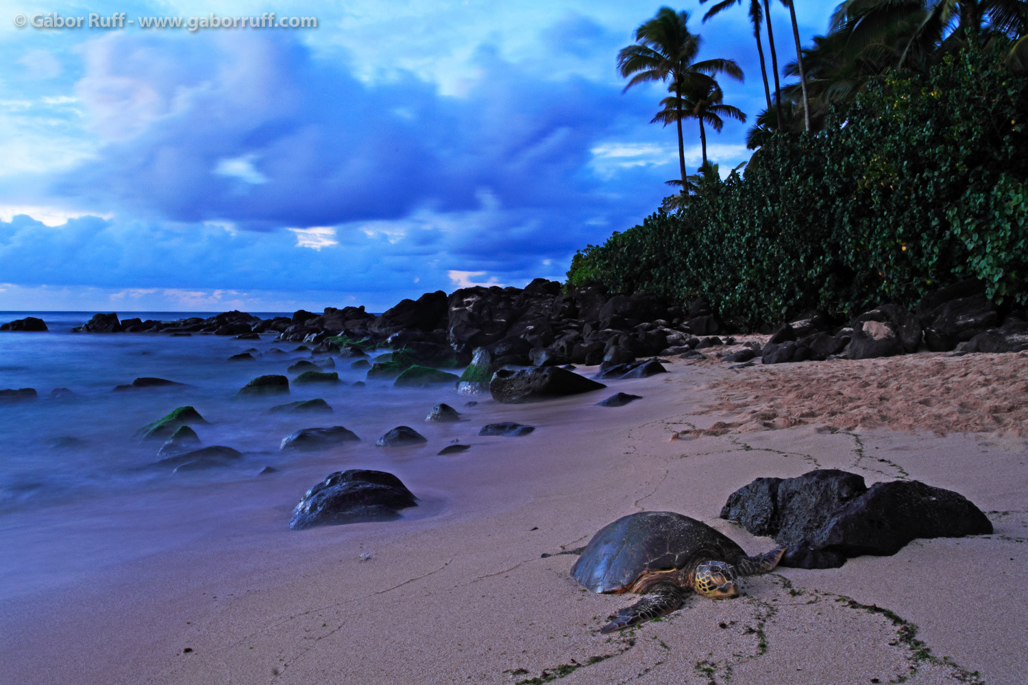 GR_131009_5338_hawaii-beach-1500x1000.jpg