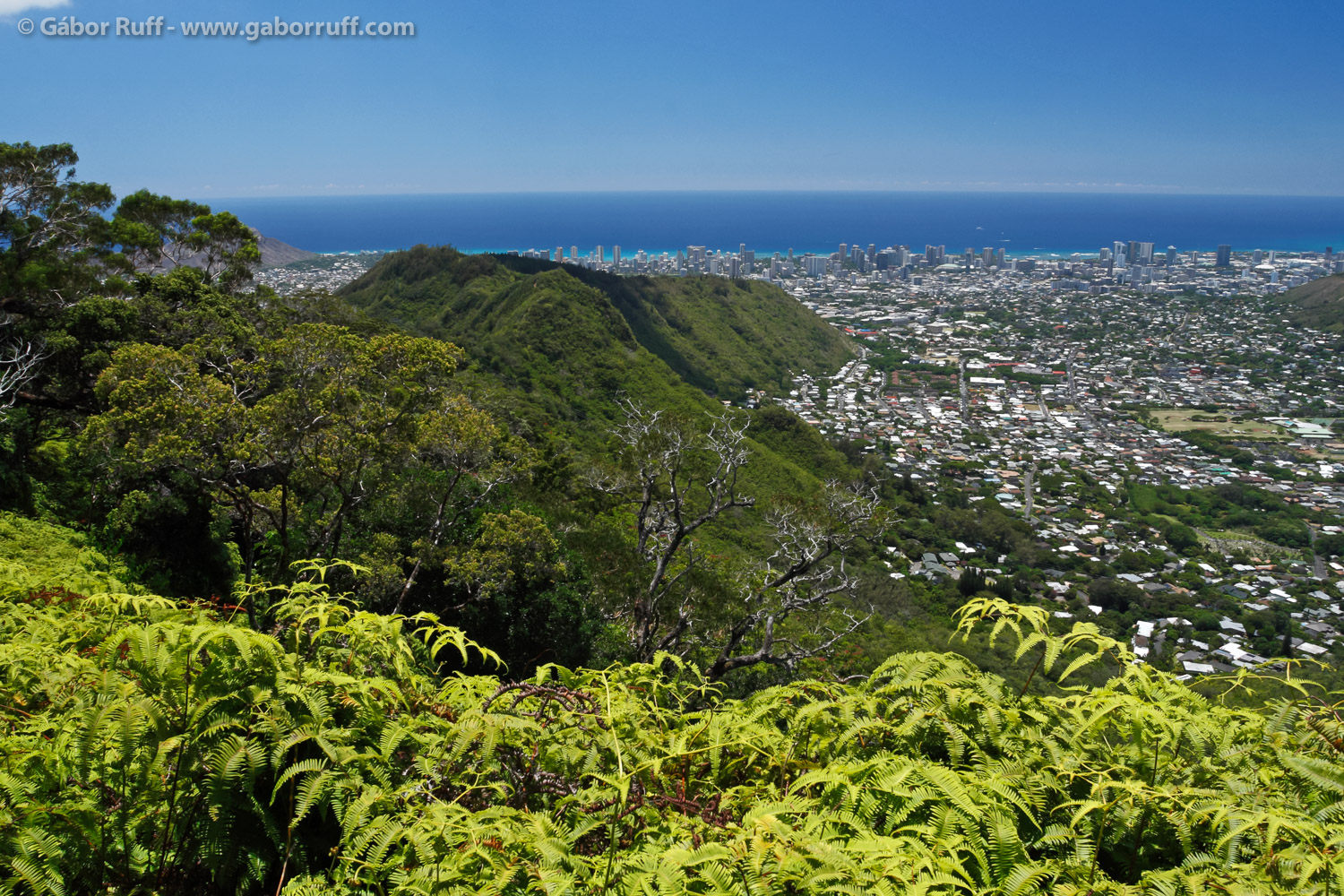 Waahila Ridge