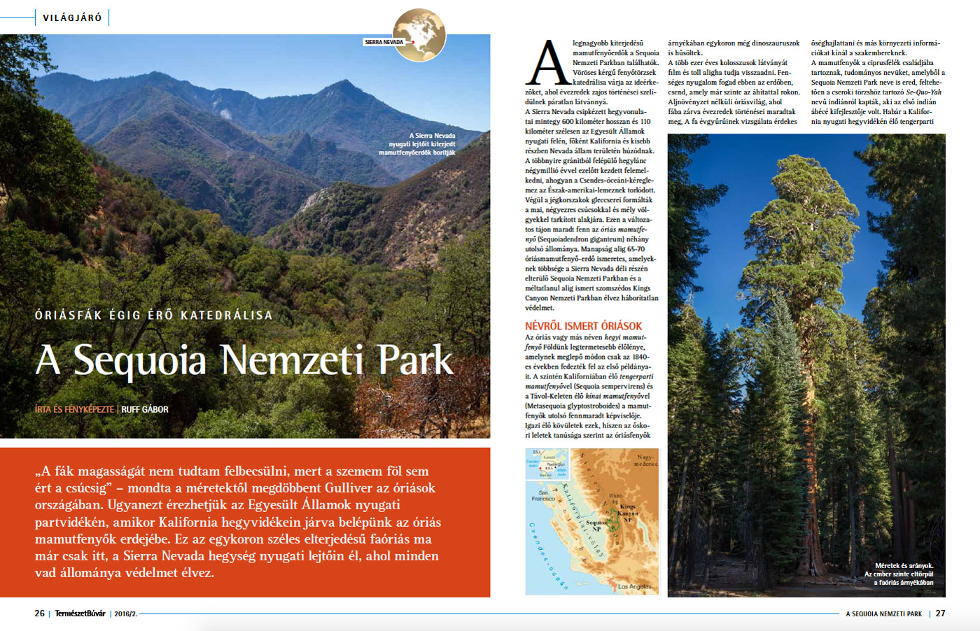 sequoia-np-article-1.jpg