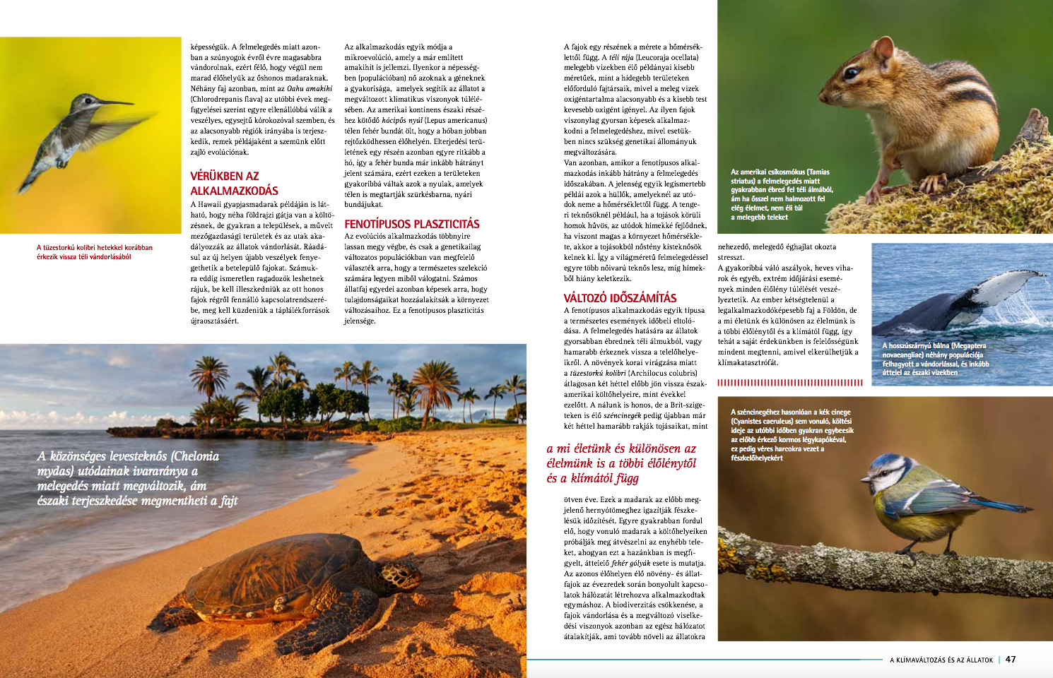 Article about climate change 2