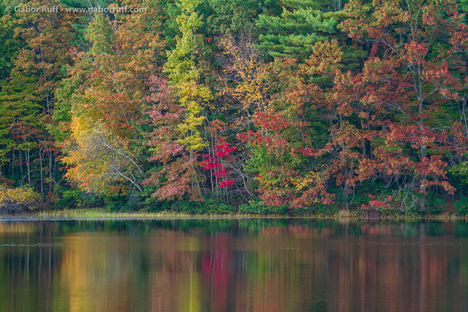 West Rock State Park