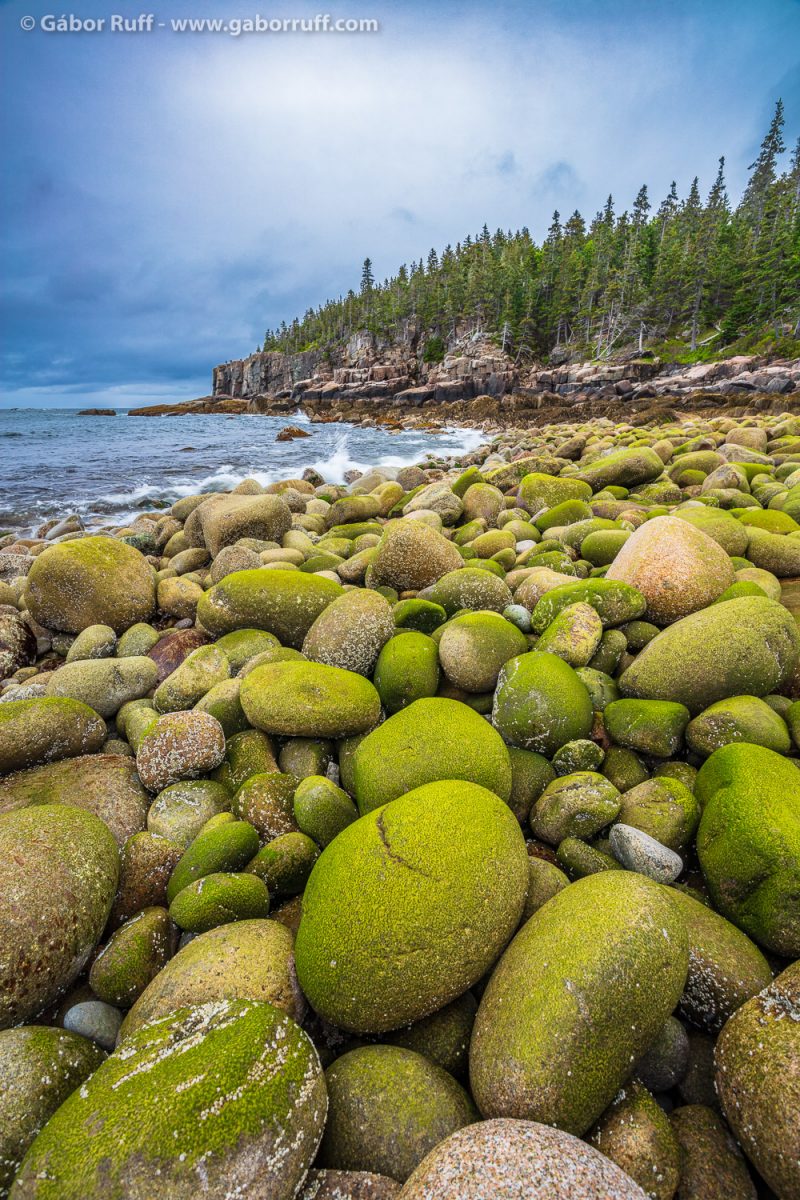 Acadia National Park