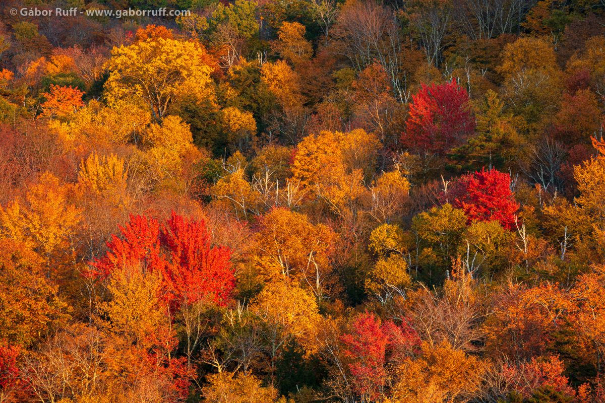 Fall Trip to the Green Mountains Vermont Gábor Ruff