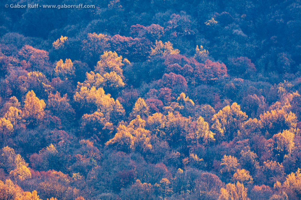 Shenandoah National Park