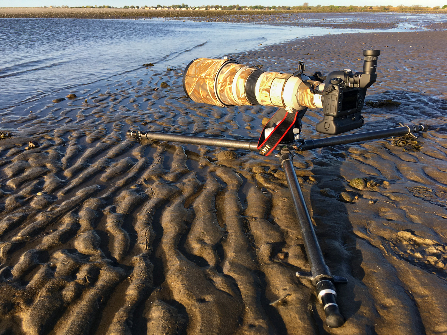 Canon 5Ds + 500mm Canon 5Ds + 500mm