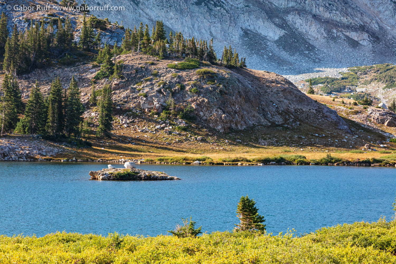 Medicine Bow National Forest
