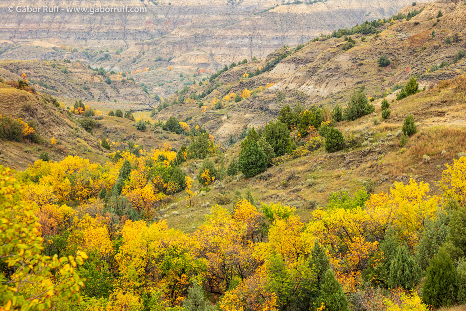 Theodore Roosevelt National Park