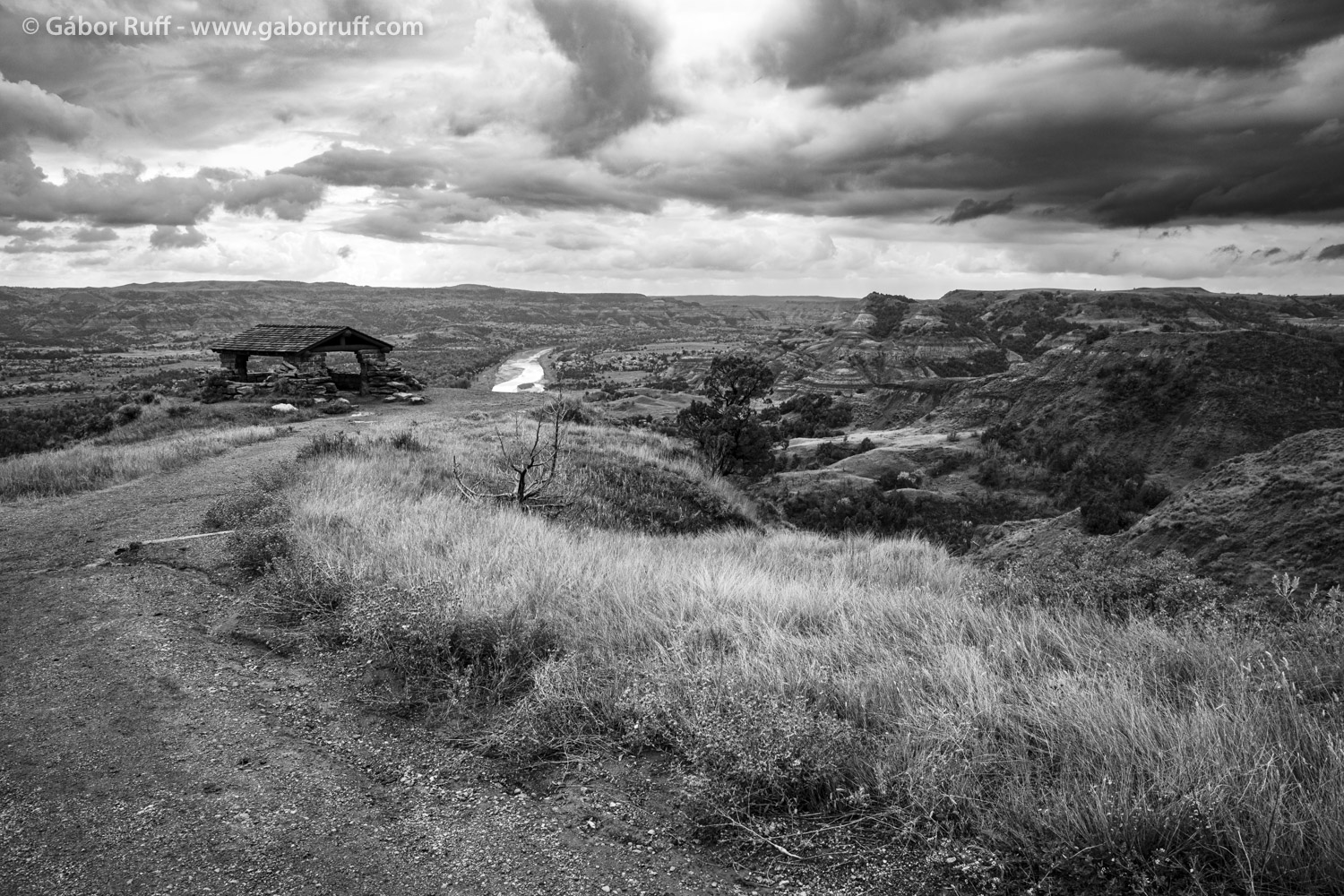 Teddy Roosevelt NP in BW
