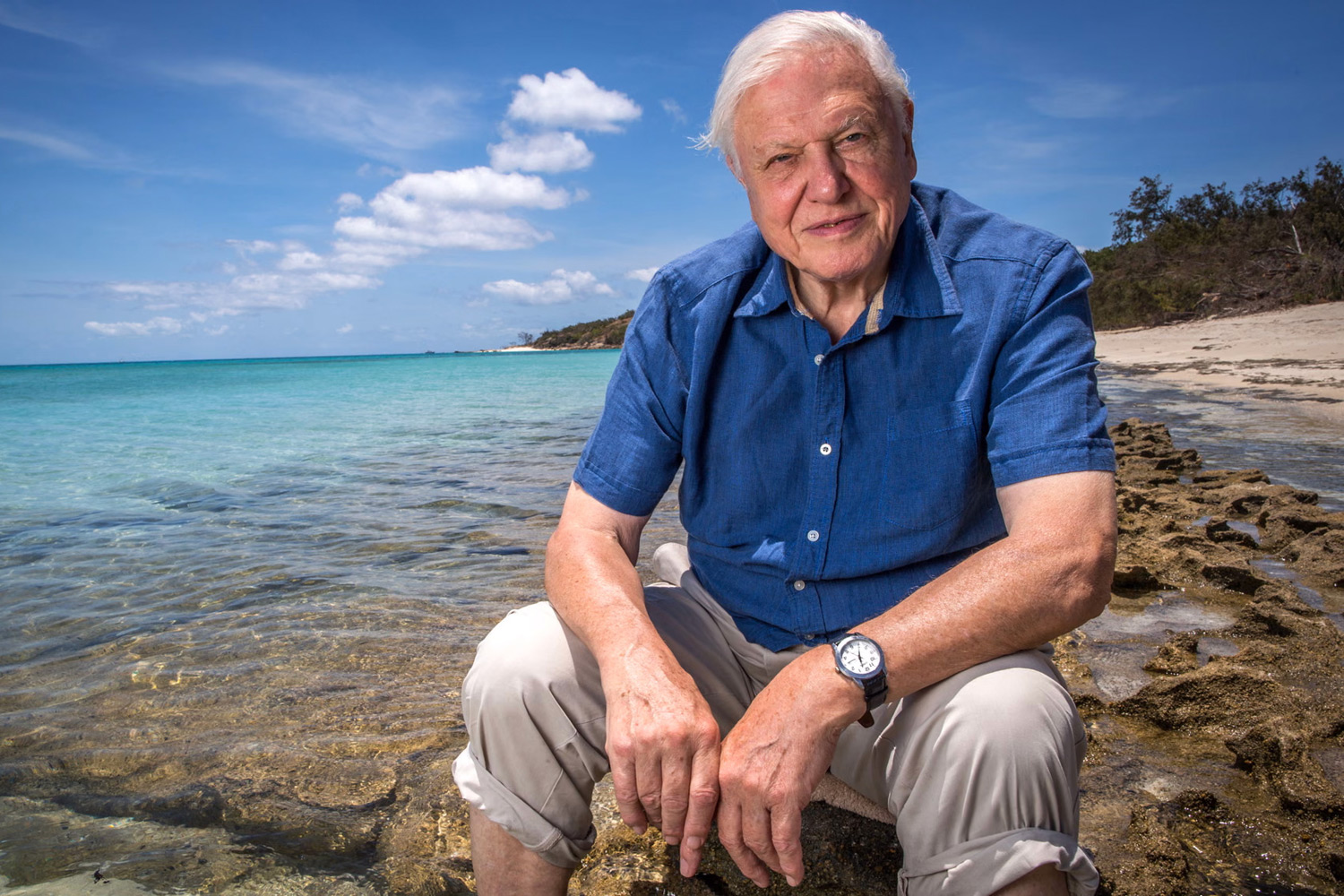 david-attenborough-a.jpg